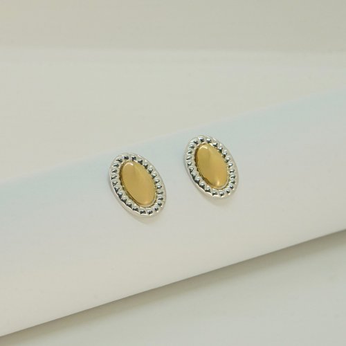 ARETES BICOLOR LISOS