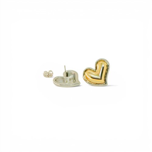 ARETES BICOLOR LISOS