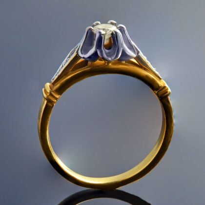 Anillos